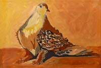 18 Paloma en estado de alerta Gouache 20 x 14cm.