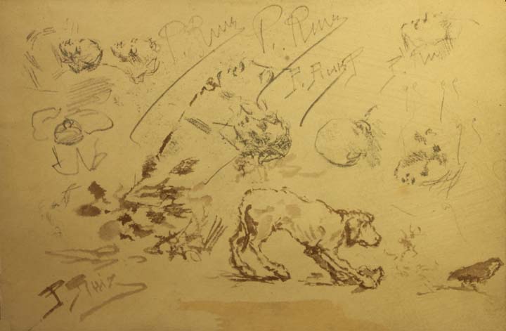 16- 16- 16 Estudio cabeza humana y ave Litografia 190x125 mm.