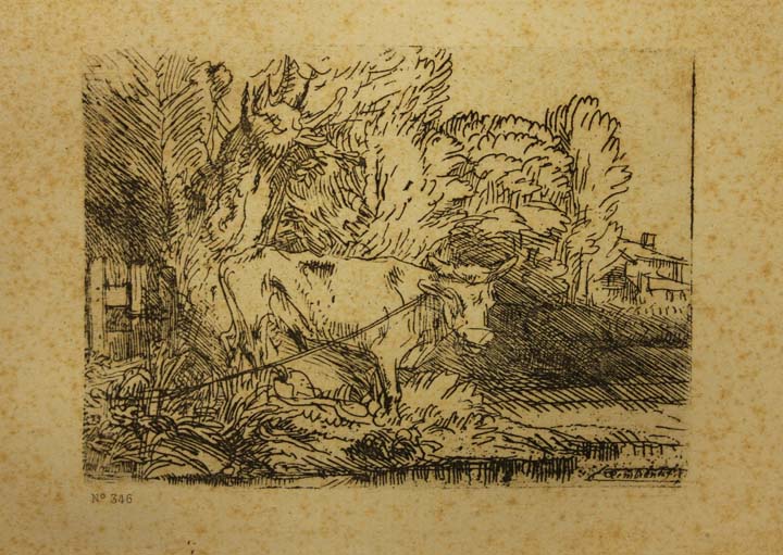 66- 20- 346 Vaca pastando Aguafuerte 750x102 mm.