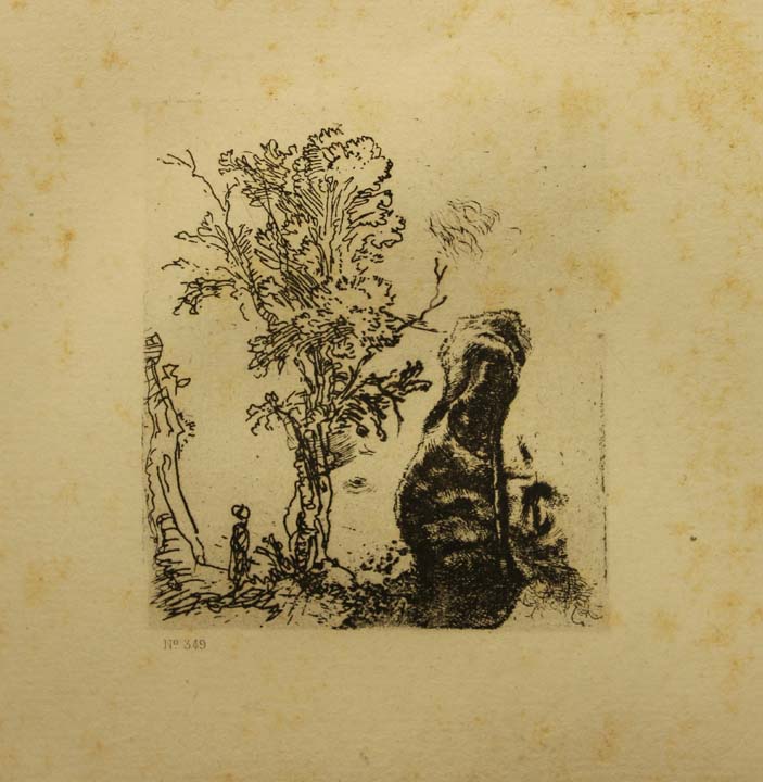 72- 26- 349 Estudio campestre Aguafuerte 750x650 mm.