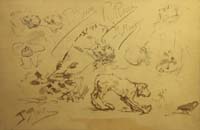 16- 16- 16 Estudio cabeza humana y ave Litografia 190x125 mm.