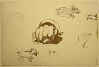 18- 18 Apunte de mano y perro a la caza 190x125 mm.