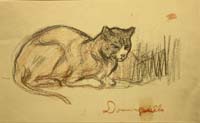 38- 38 Gato Dominguillo Litografia 166x102 mm.