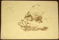 54- 08- 111 Manos entrelazadas Aguafuerte 130x187 mm.