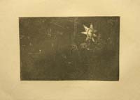 63- 17- 85 La estrella de los Reyes Magos Aguafuerte 940x143 mm.