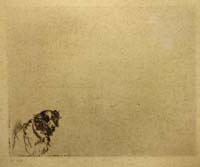 74- 28- 351 Busto de perro Aguafuerte 118x147 mm.