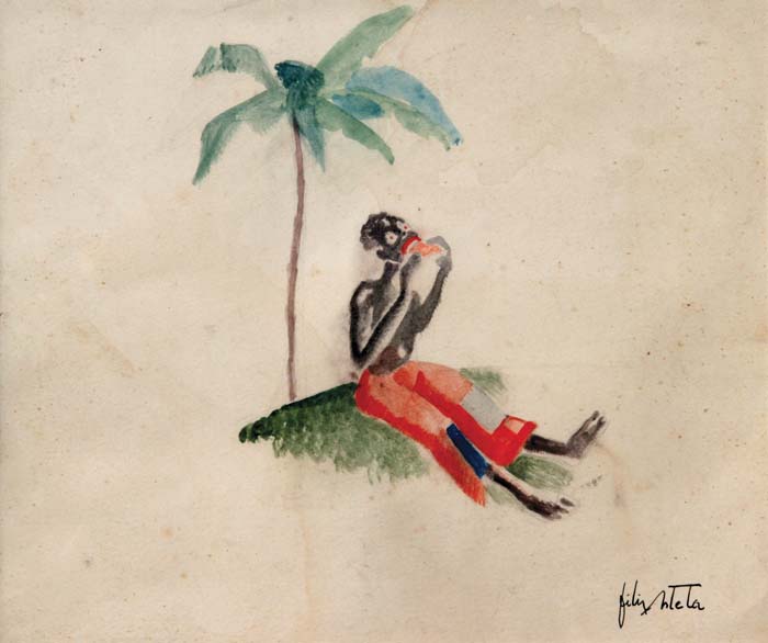 30x25 Africano en isla