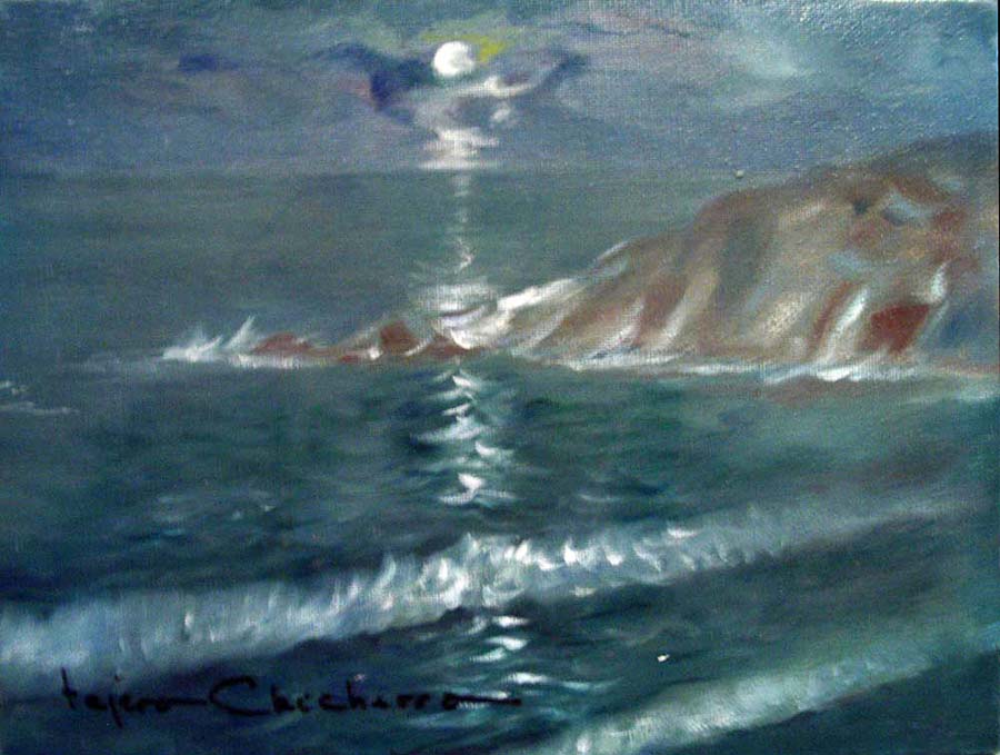 18- Marina luna llena 31x24cm.