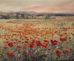 53 Campo de amapolas o.l. 38x46 cm.