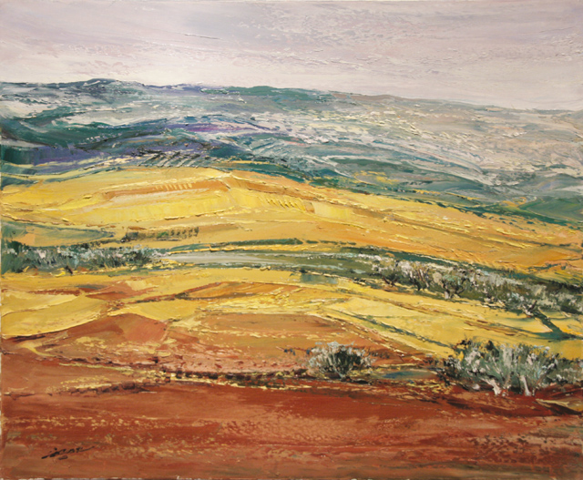 25 Campos en amarillos 73x60