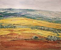 25 Campos en amarillos 73x60