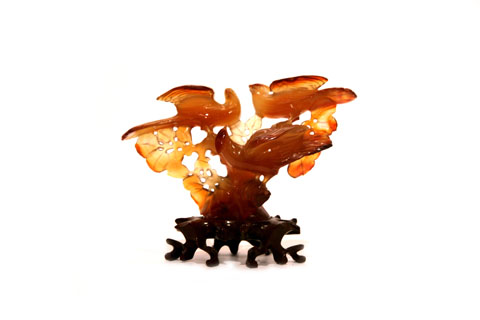 17x6x12 Aves en ramaje