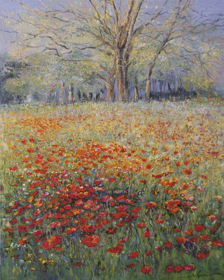 22 Amapolas en el bosque.  65x81cm.