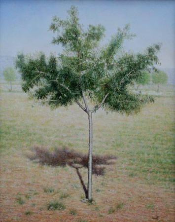 65x81 Paisaje con almendro